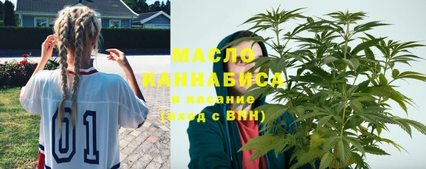 индика Новокубанск