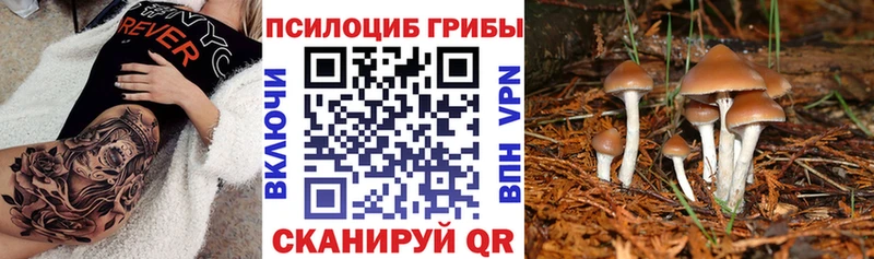 Псилоцибиновые грибы мухоморы  мориарти клад  Кирсанов 
