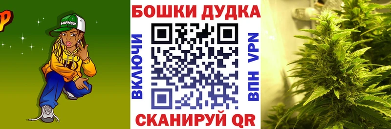 omg ссылки  наркотики  Кирсанов  Бошки марихуана OG Kush 